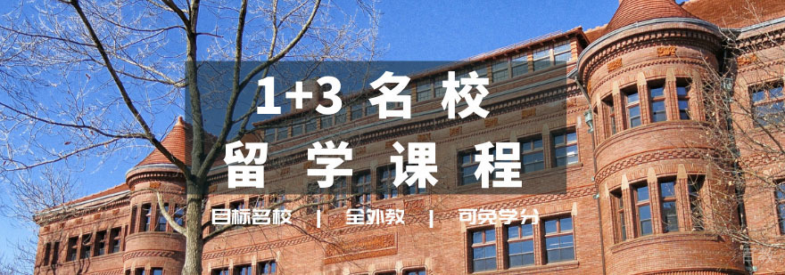 国际课程教学场景