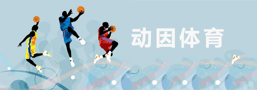 青少年篮球训练实景