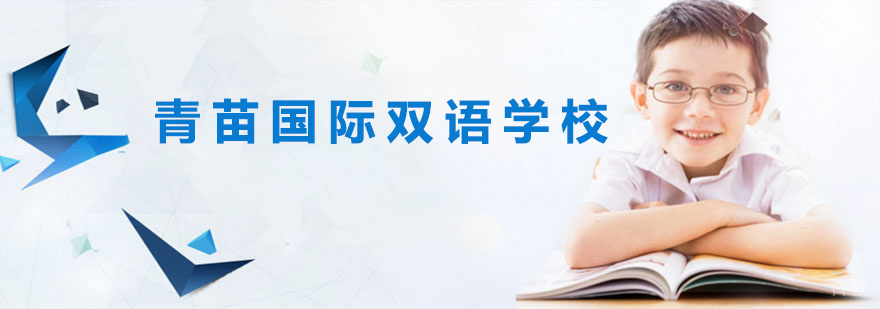 青苗国际校园环境