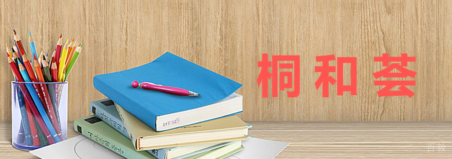 桐和荟教育团队工作场景