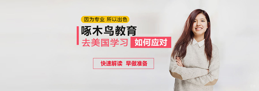 郑州啄木鸟教育