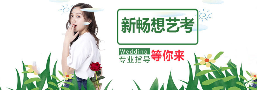 新畅想艺考教学实景