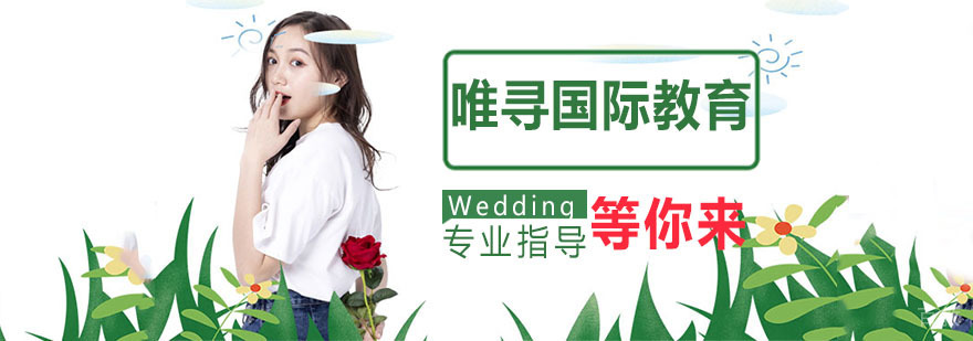国际教育导师团队
