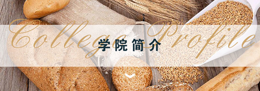 青岛烘焙培训实操课堂