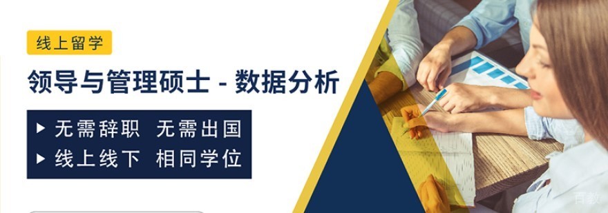 数据分析管理课程
