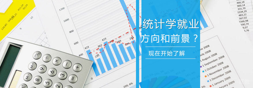 统计学职业发展示意图