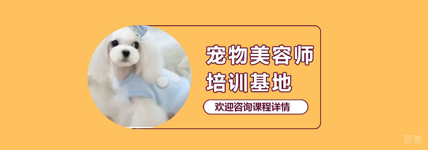 雪思嘉宠物培训校园环境