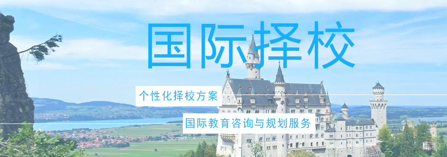 国际教育规划案例