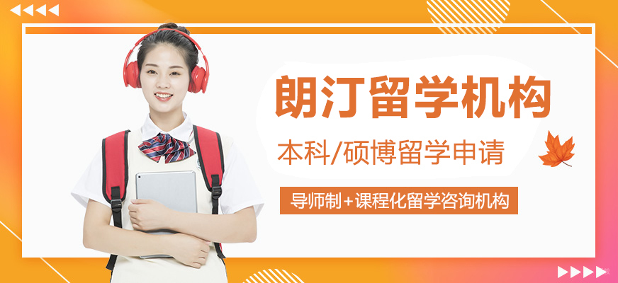 全球化教育咨询团队