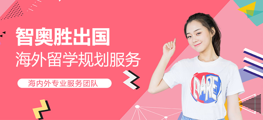 上海智奥胜出国服务场景