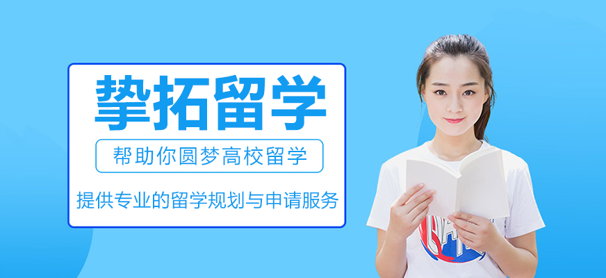 深圳挚拓留学团队工作场景