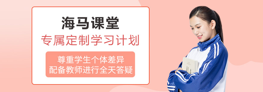 海马课堂导师指导学生场景