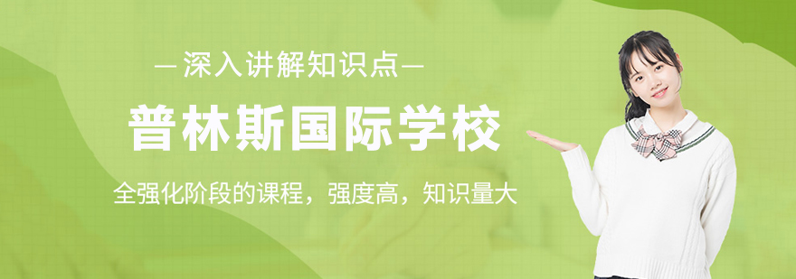 山西普林斯国际学校校园全景