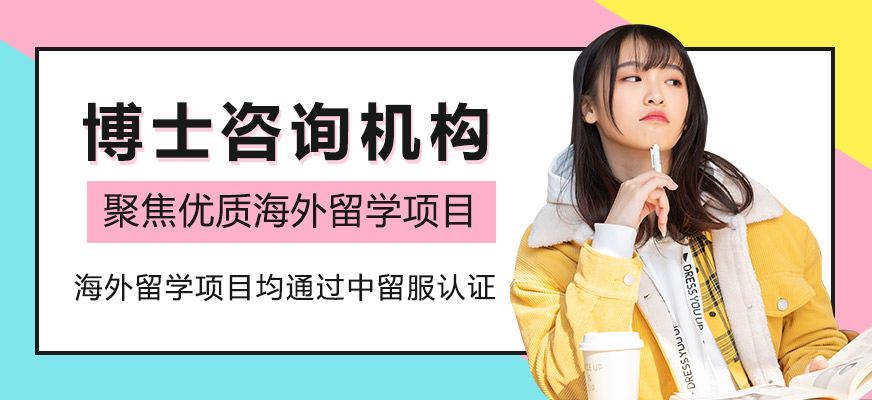 上海博士咨询机构