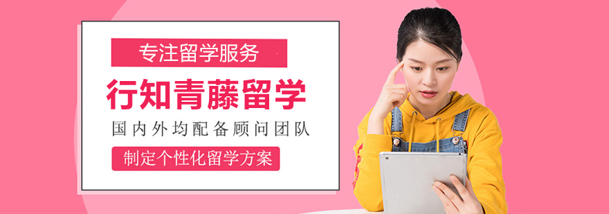 行知青藤留学团队工作场景