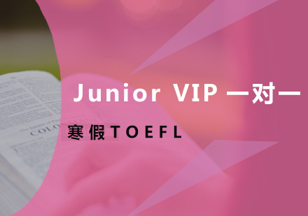 寒假TOEFL-JuniorVIP一对一