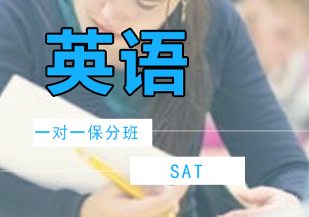 一对一SAT