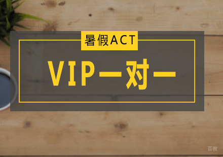 暑假ACTVIP一对一