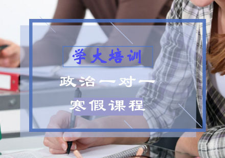 高二政治辅导,政治一对一寒假课程