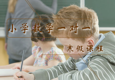一年级数学一对一辅导寒假课程