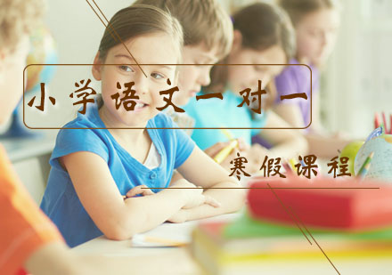 一年级语文一对一辅导寒假课程