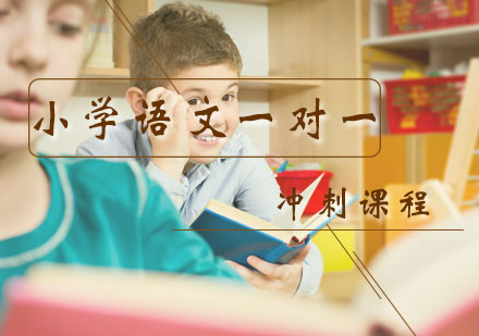 二年级语文一对一辅导冲刺课程