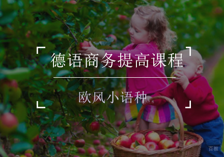 德语商务提高