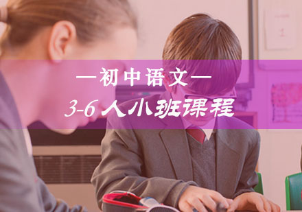 初中语文3-6人小班课程