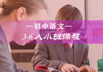 初中语文3-6人小班课程