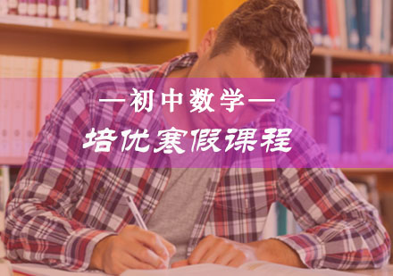 初一数学培优寒假班