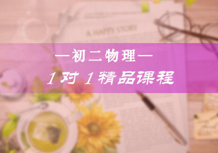 初二物理一对一精品课程