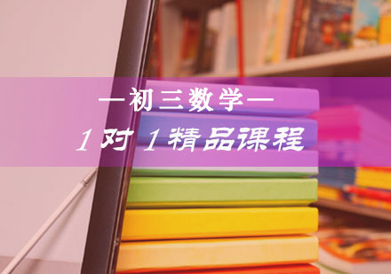 初三数学一对一精品课程