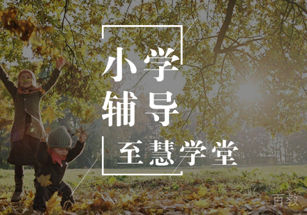 小学辅导