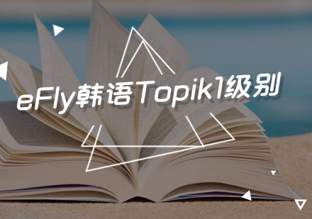 eFly韩语Topik1级别