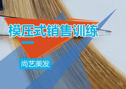 模压式销售训练