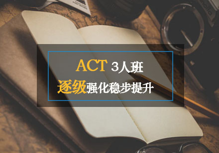 ACT3人班