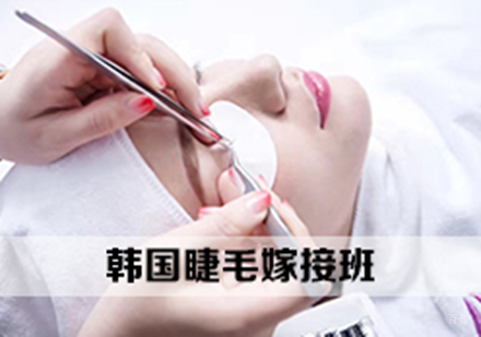 韩国睫毛嫁接班
