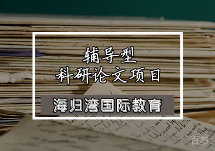 辅导型科研论文项目