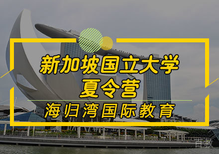 新加坡国立大学夏令营