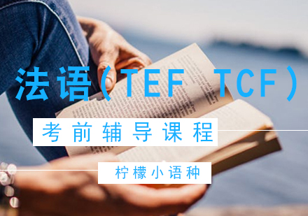 法语(TEFTCF)考前辅导课程