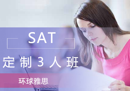 SAT定制3人班