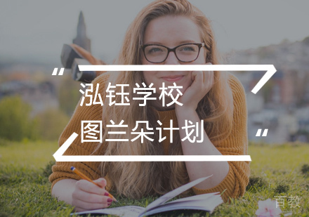 图兰朵计划
