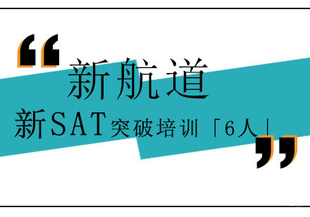 新SAT突破培训「6人」
