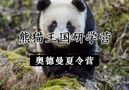 熊猫王国研学营
