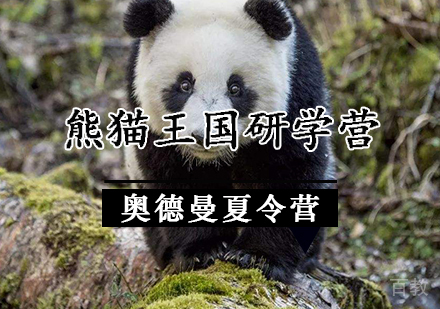 熊猫王国研学营