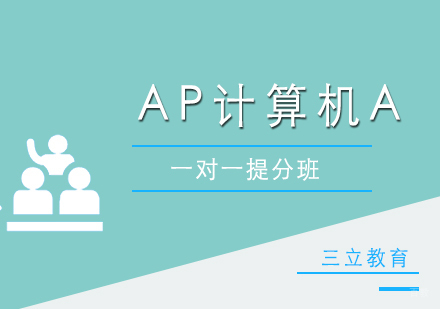 AP计算机A一对一提分班