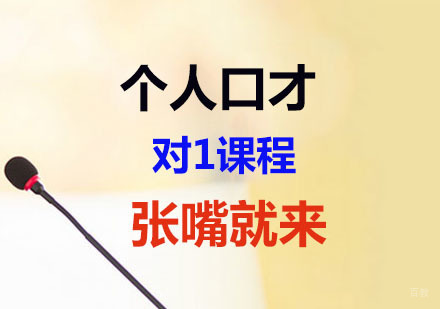 个人口才1对1