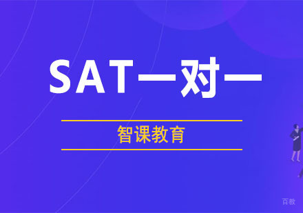 SAT一对一