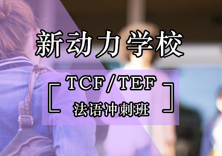 TCF/TEF法语冲刺班