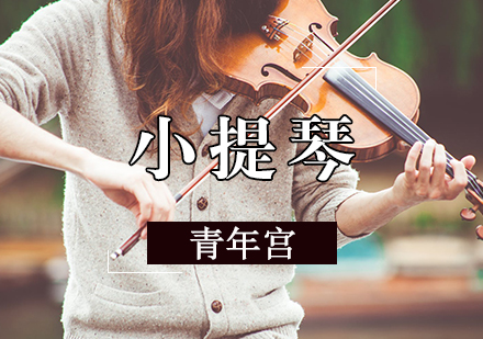 小提琴辅导课程